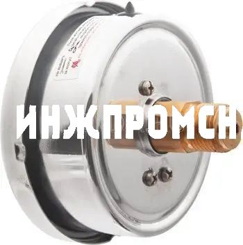 Манометр, Тип ТМ серия 20, виброустойчивый, подключение сзади, Росма